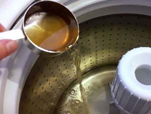 เทอร์รา ไบโอ เนเชอรัลส์ น้ำยาทำความสะอาดอเนกประสงค์ สารสกัดจากเมล็ดสบู่เหลว ส่งออกในราคาที่ดีที่สุด ผลิตในอินเดีย - Product Image 6