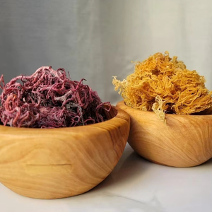 Mousse d'algues irlandaise d'origine vietnamienne – Kappaphycus Alvarezii (Cottonii) et Eucheuma Denticulatum (Spinosum) - Product Image 1