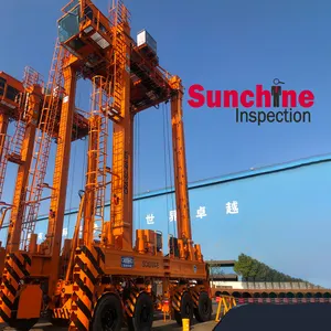 Consulta de serviço de inspeção de máquinas de construção pesada para guindastes industriais