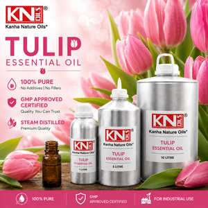 Aceite Esencial de Tulipán 100% Puro, Venta al por Mayor, Fabricante, Tulipa Premium, Mayorista, Certificado Orgánico, Exportador a Granel, Suministro de Fábrica - Product Image 2