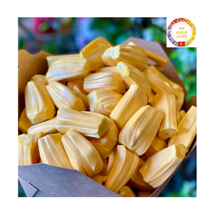 Frozen Jackfruit Vietnam Bulk Supply | IQF Sweet Seedless Fruit | Wholesale Factory Price - Product Image 3