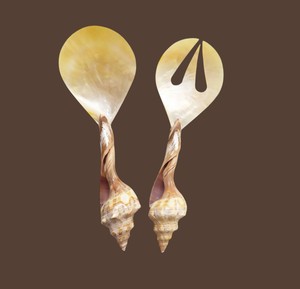 Cuchara de Nácar con Diseño Único Recortado, Utensilio de Lujo para Degustación de Caviar, Vajilla Artesanal de Concha Natural - Product Image 2