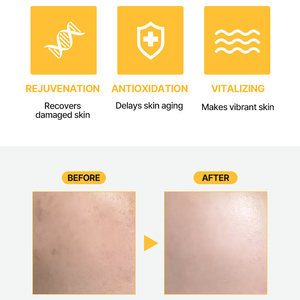 Custom Gold Peptide Hydrating Ampoule Smooth Looking Skin Care Formula - Product Image 5