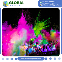 Polvo de Color Neón Brillante, Ultrafino, Reactivo a los Rayos UV, para Organizadores de Eventos, Fiestas Divertidas, Acción de Gracias, Soporte OEM