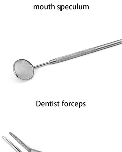 5 Pcs Metal <b>Plastic</b> Dental Examination Set Basic Dental Kit Mouth <b>Mirror</b> Probe Scraper Tweezer Teeth Hygiene Tools CE Certified - Product Image 3