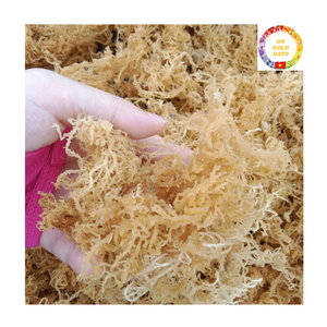 Gel de Musgo Marino Listo para Usar |   Algas Marinas Orgánicas Secas |   Uso Fácil de Realizar en Remojo |   Venta al por Mayor de Vietnam - Product Image 6