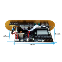 Carte d'amplificateur domestique D1000A pour entrée double micro 5.0, 2.1 canaux, 50W+50W+100W, radio FM, alliage d'aluminium, DC15V, USB, TF, télécommande