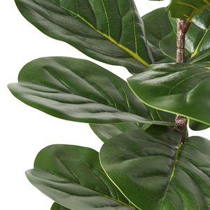 Albero Artificiale di Ficus Lyrata da 59 Pollici - Product Image 6