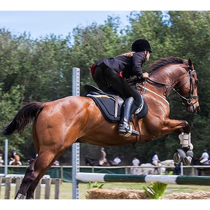 Culottes d'équitation taille haute pour femmes avec grip en silicone intégral et poches – Vente en gros OEM - Product Image 5
