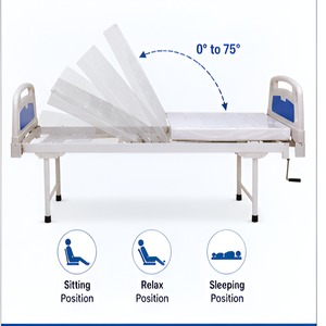 Manual Hospital <b>Bed</b> Semi Fowler Adjustable Patient <b>Bed</b> with <b>Side</b> <b>Rails</b> - Product Image 2