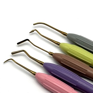 Ensemble d'instruments de restauration dentaire en composite LM, 5 pièces, poignées en silicone, outils dentaires de haute qualité pour les procédures de restauration - Product Image 2