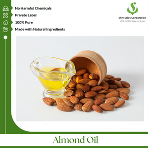 Good Quality <b>Bulk</b> Selling Halal Certified <b>Sweet</b> Almond Cold Pressed Oil Available at Best <b>Bulk</b> Price From Exporter - Product Image 3
