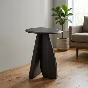 Table d'appoint moderne en bois de manguier, design minimaliste, fabrication artisanale, meubles de salon, finition bois foncé, plateau rond - Product Image 1