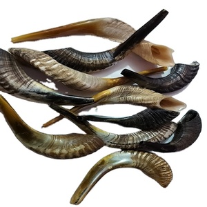 Meilleure qualité corne de bélier Shofar corne naturelle Shofar pour souffler et religieux but casher Shofar de A Z artisanat - Product Image 2