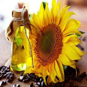 Aceite de Girasol Orgánico de Primera Calidad, Totalmente Refinado, Fraccionado, Apariencia Clara, Sabor Neutro, Alto Rendimiento al Calor para Freír - Product Image 3