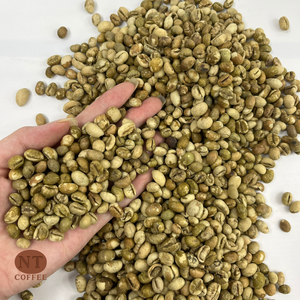 Café Culi de Vietnam, Venta Directa, Granos de Café Robusta de Primera Calidad, Estándar de Exportación para Empresas de Tostado - Product Image 1