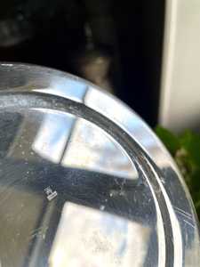 Decorative Metal Pail for Floral Arrangements <b>and</b> Gifts - Product Image 6