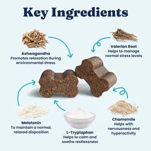 Low MOQ Organic Dog Multivitamin & Probiotics Soft Chews Gut & Digestive Health Hip/Joint Support Pet Supplement OEM Bulk Supply - Product Image 3