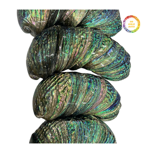 Wholesale Green <b>Abalone</b> <b>Shell</b> Polished - Product Image 1