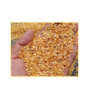 Graines de piment jaune du Cachemire de qualité supérieure, rendement élevé, couleur vive, épice aromatique, chaleur moyenne |   AD séché non-OGM, variété ancienne (Inde) - Product Image 4
