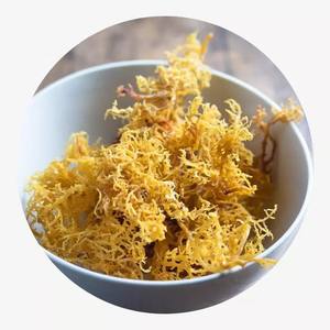 (SUPER BARATO) SEAMOSS LIMPIO HECHO DE NATURAL EN VIET NAM, Mejora la piel, antienvejecimiento/VIET DELTA - Product Image 6