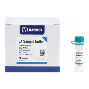 BANDIO 5X Échantillonneur de protéines avec DTT pour la préparation d'échantillons de protéines par SDS-PAGE - Product Image 3