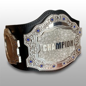 Ceinture de championnat poids lourd personnalisée, ceinture de championnat IWGP, ceinture d'arts martiaux unisexe chez SAMMY WEARS - Product Image 6