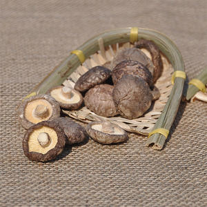 Hongos Shiitake Secos Vietnamitas Premium – Suministro a Granel de Grado Alimenticio - Product Image 1