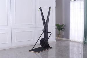 Máquina de Esquí para Gimnasio, Equipo de Cardio, Máquina de Ejercicio, Máquina de Esquí Ergométrica, Máquina de Nieve para Gimnasio, Skierg <span class=keywords><strong>Concept</strong></span> <span class=keywords><strong>2</strong></span> - Product Image 5