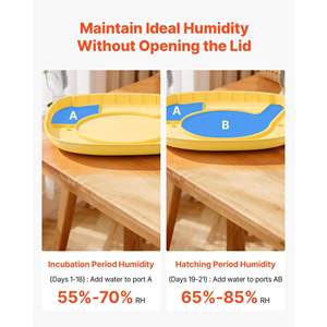 Incubateur à œufs automatique 24 œufs avec contrôle de la température et de l'humidité, fenêtre transparente à 360°, remplissage automatique d'eau pour œufs de volaille - Product Image 3