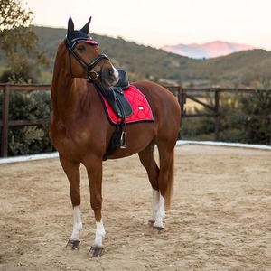 Tapis de selle d'équitation professionnels sur mesure avec doublure en polycoton, qualité supérieure, service OEM, couleur personnalisée - Product Image 6