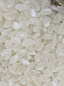 ข้าวหักเกรดพรีเมียมจากเวียดนาม เมล็ดกลม อบแห้ง สำหรับทำซูชิและโอนิกิริ ผลผลิตใหม่ปี 2026 ขายส่ง - Product Image 5