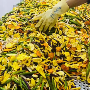 Fruits mélangés lyophilisés du Vietnam de haute qualité, collation saine, prix d'usine - Product Image 1