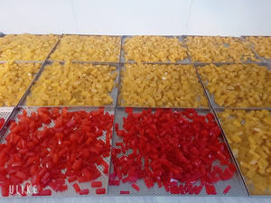 COUDE D'EXPORTATION EN VRAC GOMMY BON PRIX DU VIET NAM/COUTURE D'EXPORTATION GOMMY DE HAUTE QUALITÉ - Product Image 2