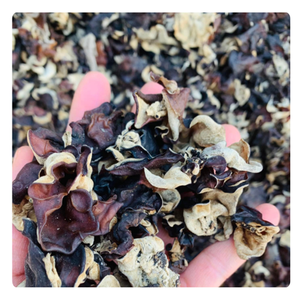 CHAMPIGNONS D'OREILLE DE BOIS SÉCHÉS BIOLOGIQUES SAINS | PRIX DE GROS DU VIETNAM - Product Image 2