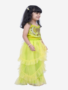Elaisha Woven Sleeveless Placement Embroidered Top With Net <b>lehenga</b>-Limegreen - Product Image 1