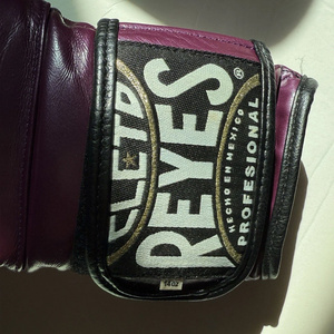 ถุงมือชกมวยคุณภาพสูง Celeto rays Professional Muay Thai สำหรับฝึกซ้อม สีสั่งทำได้ ขนาดสำหรับผู้ใหญ่ รุ่น RL-BG-167 - Product Image 5