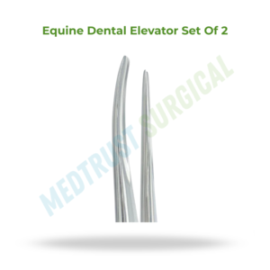 Juego de 2 Elevadores Dentales Equinos, Instrumento Veterinario para Extracción de Dientes de Caballos y Cirugía Periodontal - Product Image 2
