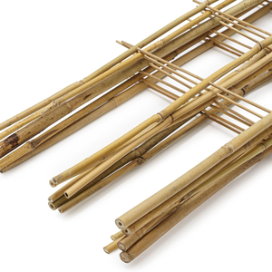 Treillis de jardin en bambou en gros pour plantes grimpantes, en forme de U, pour plantes en pot d'extérieur et d'intérieur, du Vietnam - Product Image 4