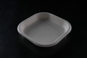 Plato Cuadrado de 7 Pulgadas de Bagazo 100% Natural, Vajilla Ecológica Compostable para Servicio de Alimentos con Opción de Logotipo Personalizado, Venta al por Mayor - Product Image 3