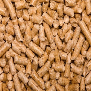 Compre pellets de madera de pino austriaco A1 de color blanco para los mercados europeos. Pellets de madera sueca en venta a un precio asequible. - Product Image 5