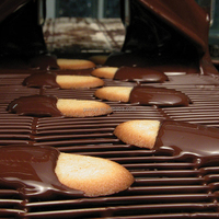 Nouvelle machine à enrober au chocolat GUSU avec certification CE, haute productivité, garantie 1 an