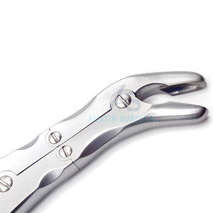 Rongeurs vétérinaires de précision pour le soin des os - Réutilisables en acier inoxydable pour des procédures précises - Usage professionnel pour animaux - Product Image 4