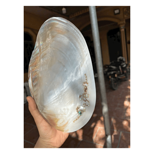 กล่องใส่เครื่องประดับเปลือกหอยสีรุ้ง ประดับด้วยเปลือกหอยขัดเงาและโครงสร้างไม้ สำหรับเก็บแหวน สร้อยคอ ผลิตในเวียดนาม - Product Image 6