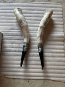 Vente en gros de grandes cornes de bœuf - Paire de cornes spirales et torsadées de style animal, polies à la main, écologiques, achat en gros, prix économiques - Product Image 2