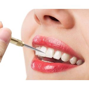 Set Portatile di 5 Stuzzicadenti in Acciaio Inox Dorati con Portastuzzicadenti Tascabile, Bastoncini Riutilizzabili in Metallo per Frutta e Cocktail, Ideali per il Campeggio - Product Image 2