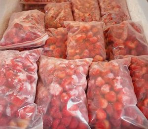 Fraises surgelées de qualité supérieure IQF entières du Vietnam Lam Dong, vente en gros - Mme Tarina par Viet D.E.L.T.A 1kg - Product Image 4