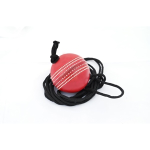 Willow Cricket Hanging <b>Ball</b> for <b>Bat</b> Knocking and Practice, 1 Hard <b>Ball</b> BY NAQQASH SPORTS - Product Image 1