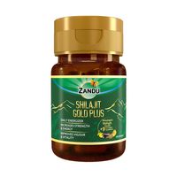 Complément alimentaire Zandu Himalayan Shilajit Gold Plus, extrait de plante sauvage, pour une énergie maximale, une force et une endurance accrues, et une vitalité libérée.