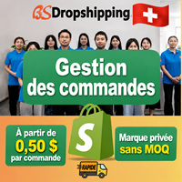 Agent de Traitement des Commandes Shopify en Chine, Service de Dropshipping avec Marquage Personnalisé, Sans MOQ, Expédition Express (3-10 Jours) pour